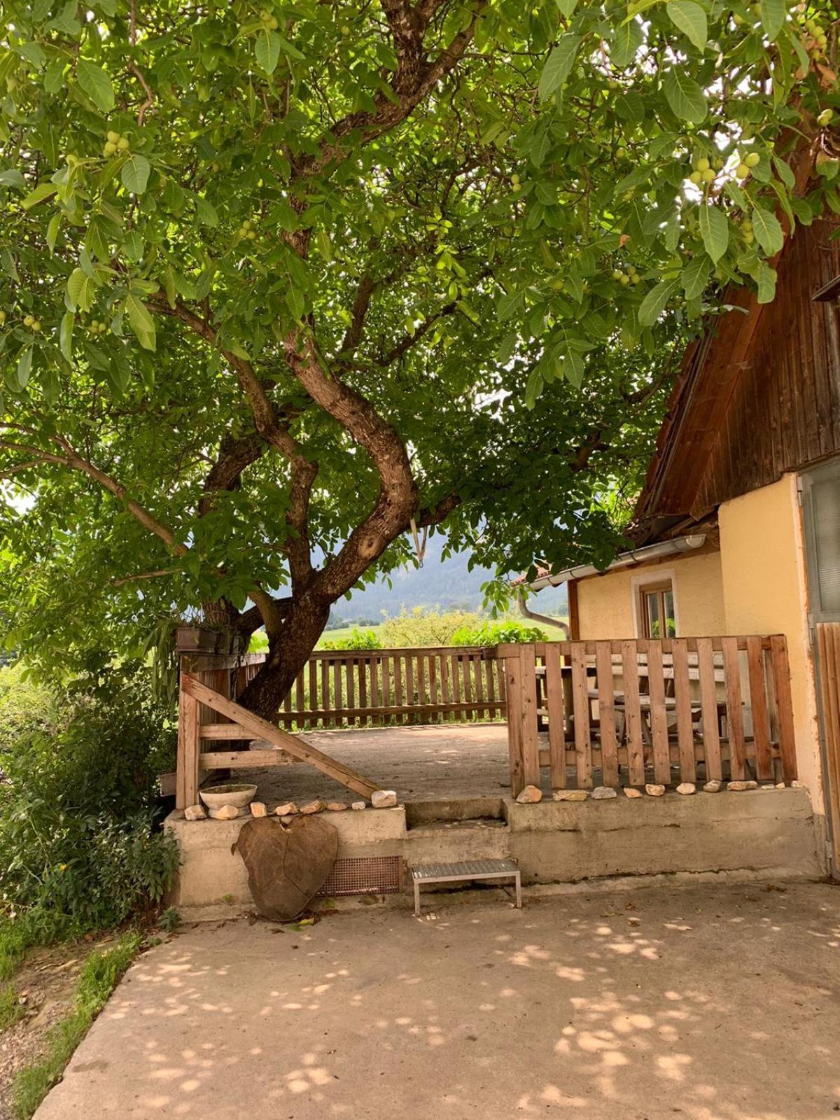 Willa Biohof Goelly Neumarkt in Steiermark Zewnętrze zdjęcie