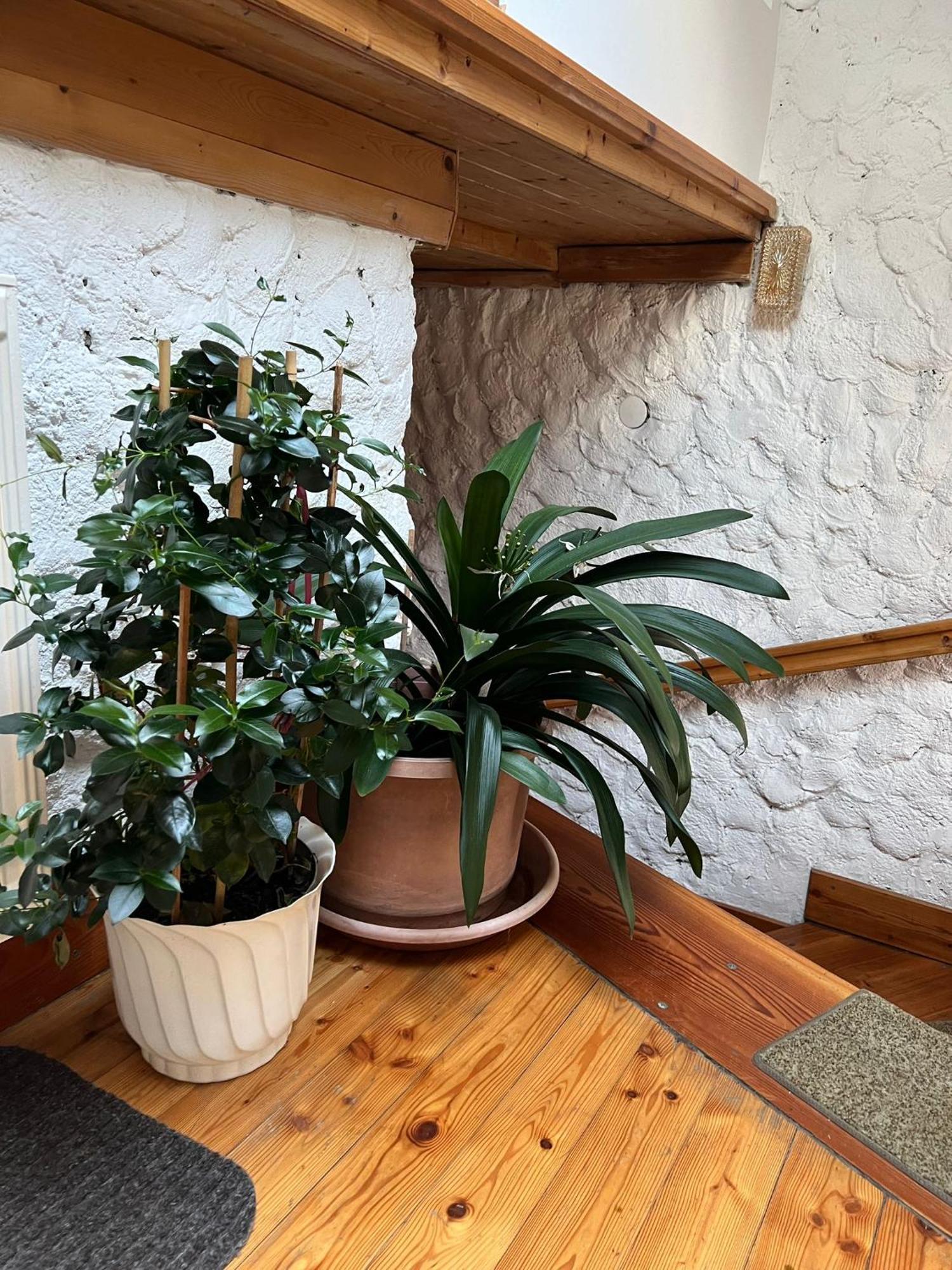 Willa Biohof Goelly Neumarkt in Steiermark Zewnętrze zdjęcie