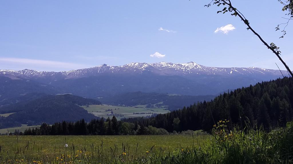Willa Biohof Goelly Neumarkt in Steiermark Zewnętrze zdjęcie